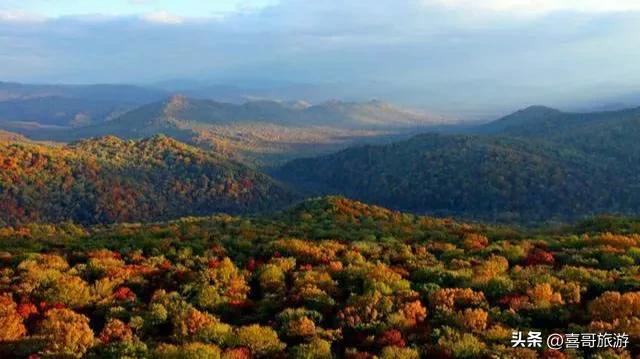 哈尔滨后花园：探秘黑龙江金龙山国家森林公园