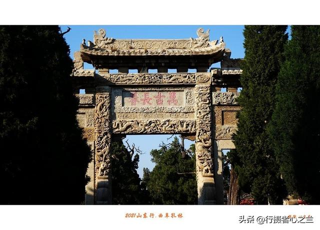 山东行游影记（225）—曲阜孔林（一）