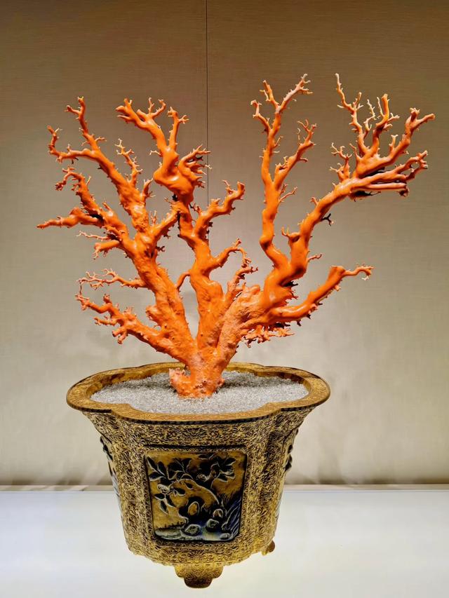 故宫盆景：把四季与山河，焊进清宫案头的方寸传奇