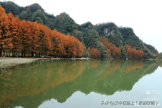 龙池秋色惹人醉