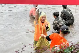 又下田了！看川美师生挖藕抓鱼收红薯 “摸鱼”现场超快乐图片
