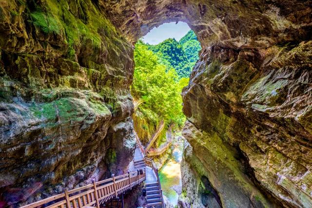 世界自然遗产、物种基因库、北纬31°绿色奇迹——神农架旅游攻略