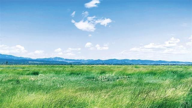 呼和浩特：正是盛夏悦目时