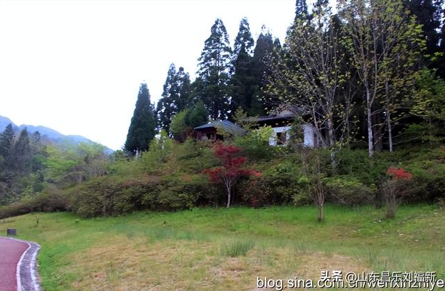 领袖峰及其它（江西之旅第八十五篇）