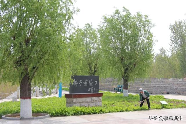暑假在邹平，这几条研学旅游线路请收好！