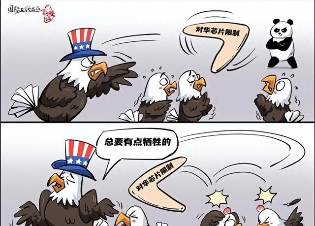 最后10天，轮到中方杀鸡儆猴，荷兰刚抢实控权，芯片供应突然中断