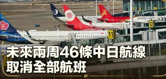 46条中日航线取消才1天，就炸出一群“牛鬼蛇神”，郑强说对了