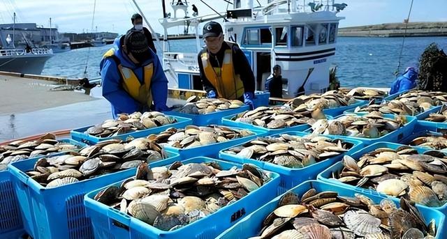 高市还未道歉，中日又出新争端，日方通知中国，必须解释一件事