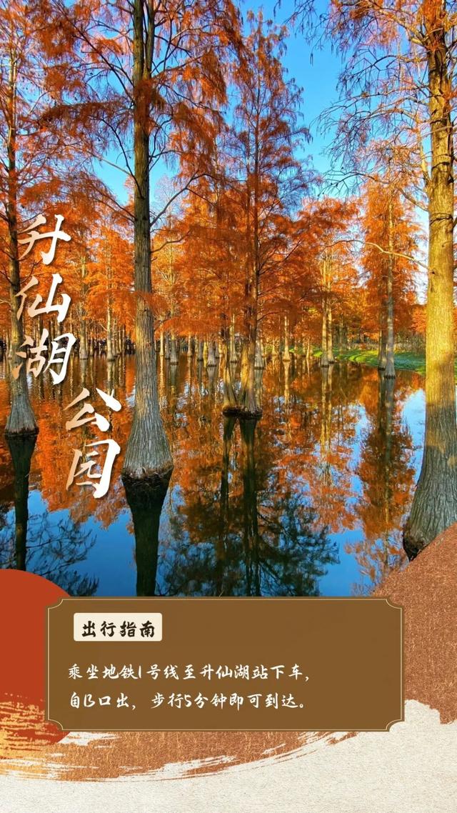 秋假出行游玩攻略