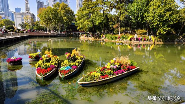 中山公园的秋，是写给武汉的一首诗