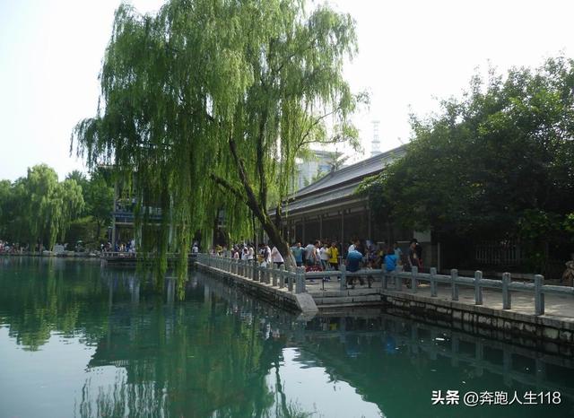 夏日炎炎，泉城戏水，不辞长作济南人