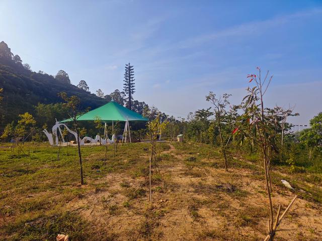 塘朗山郊野公园火车道口与绿平二路段，爬坡酸爽，骑友的天堂