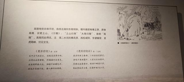 高陵昭慧塔文物展