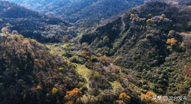 把灵台秋韵的山水诗意 都藏进这个秋天里