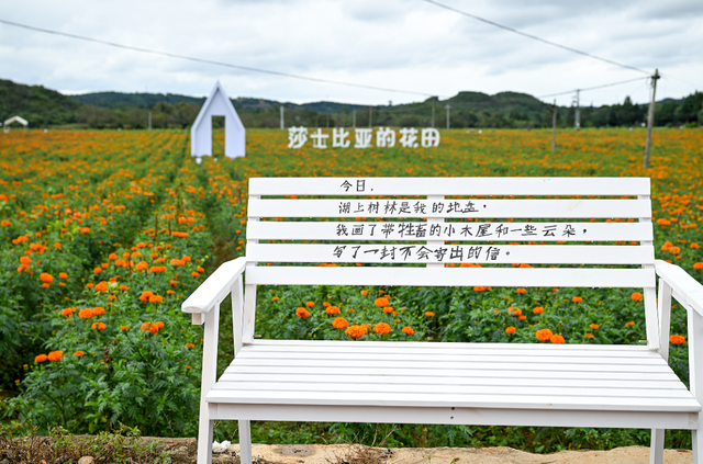 弥勒全新打卡地来袭！从早嗨到晚！离城不远~