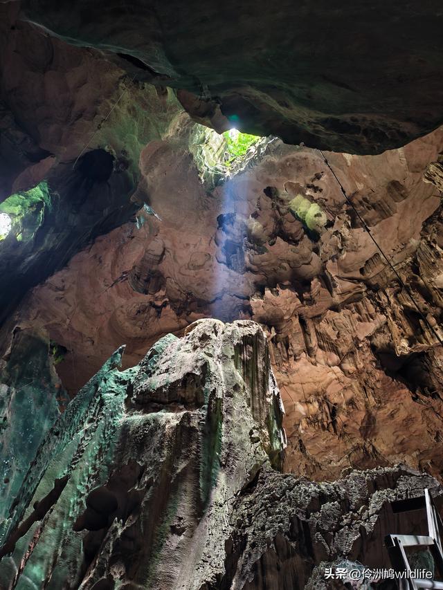 马来西亚(32)砂拉越州⑥世界遗产尼亚洞窟探险