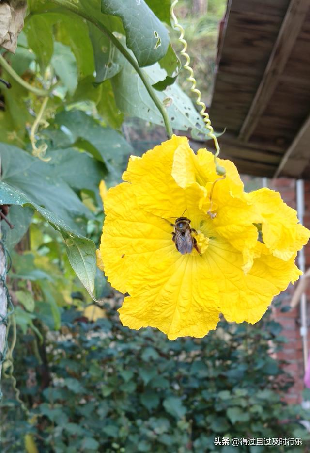 婺源游记-01慢品人间烟火