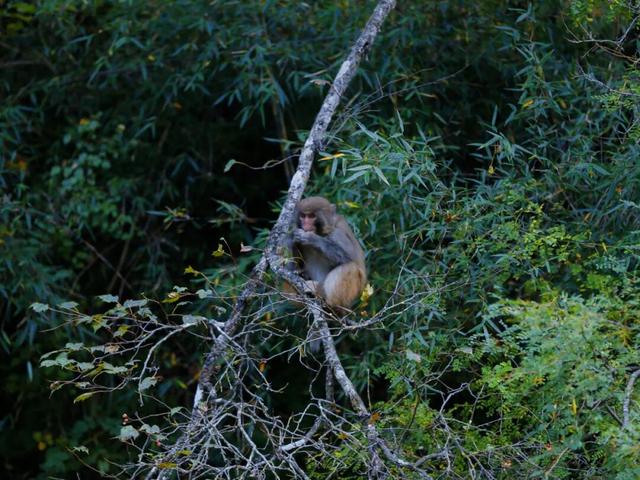 立冬启新章 | 在 4860冰川之巅邂逅冬日限定美好