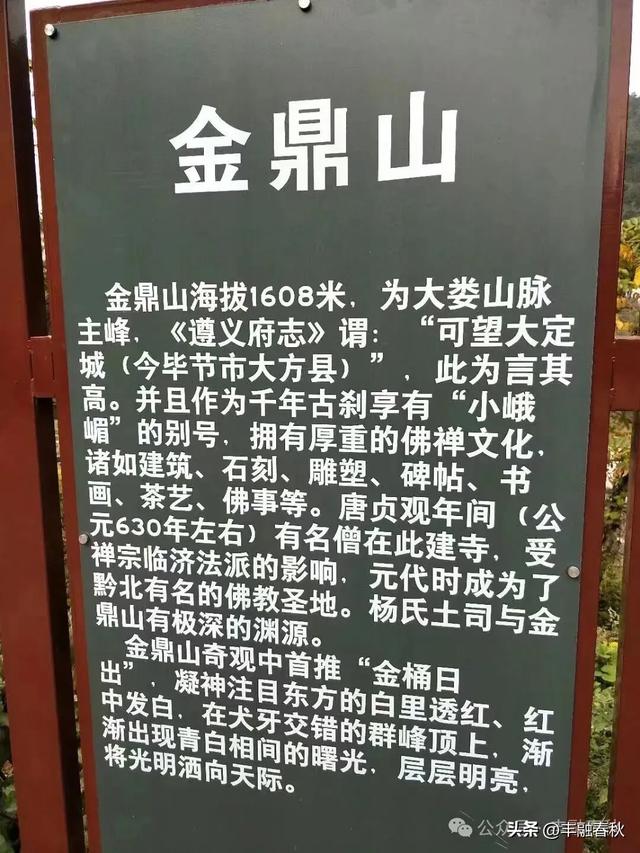 登顶金鼎山｜余泽江