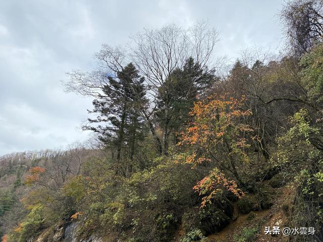 北京自驾长江三峡、神农架之旅（6）