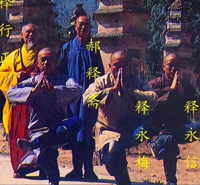 释永信老家的现状：家门口的椿树已经倒了，村里还有一条永信路
