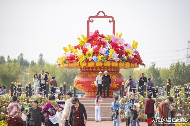 秋菊绽花海 游人醉金秋