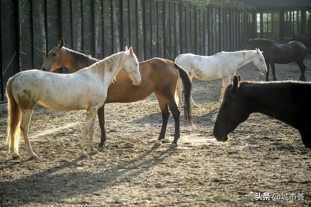 解锁冬日浪漫！乌鲁木齐这十条线路，解锁冰与火的雪域浪漫