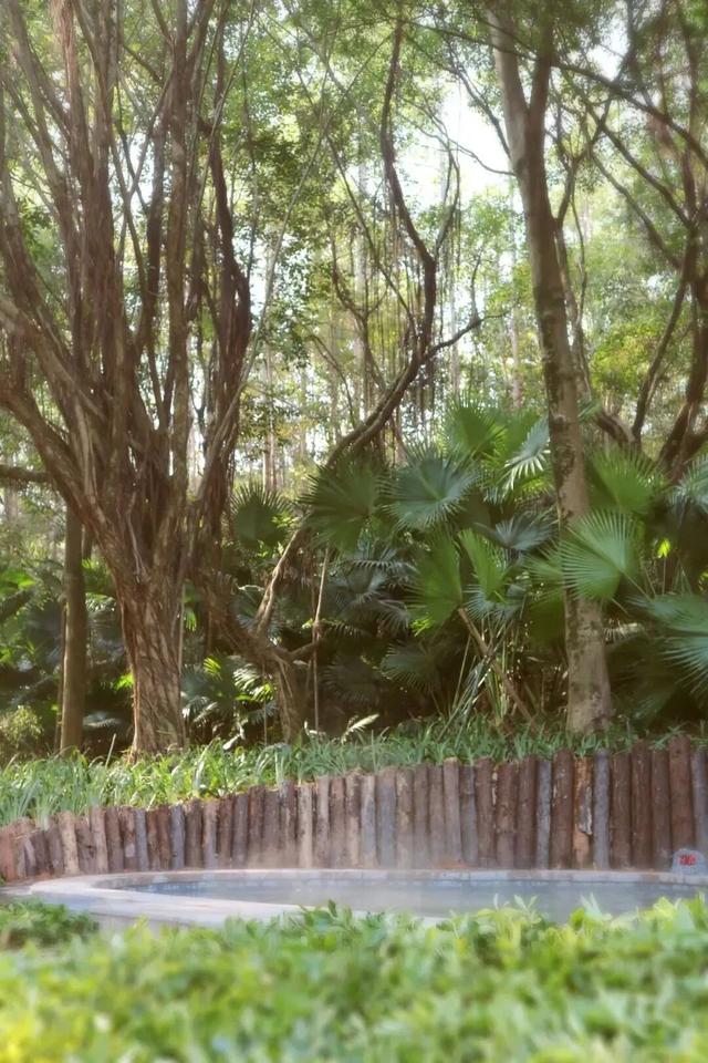 周末2大2小叹“森林秘境”度假地，吃住玩全了，汤泉萌宠…平靓正