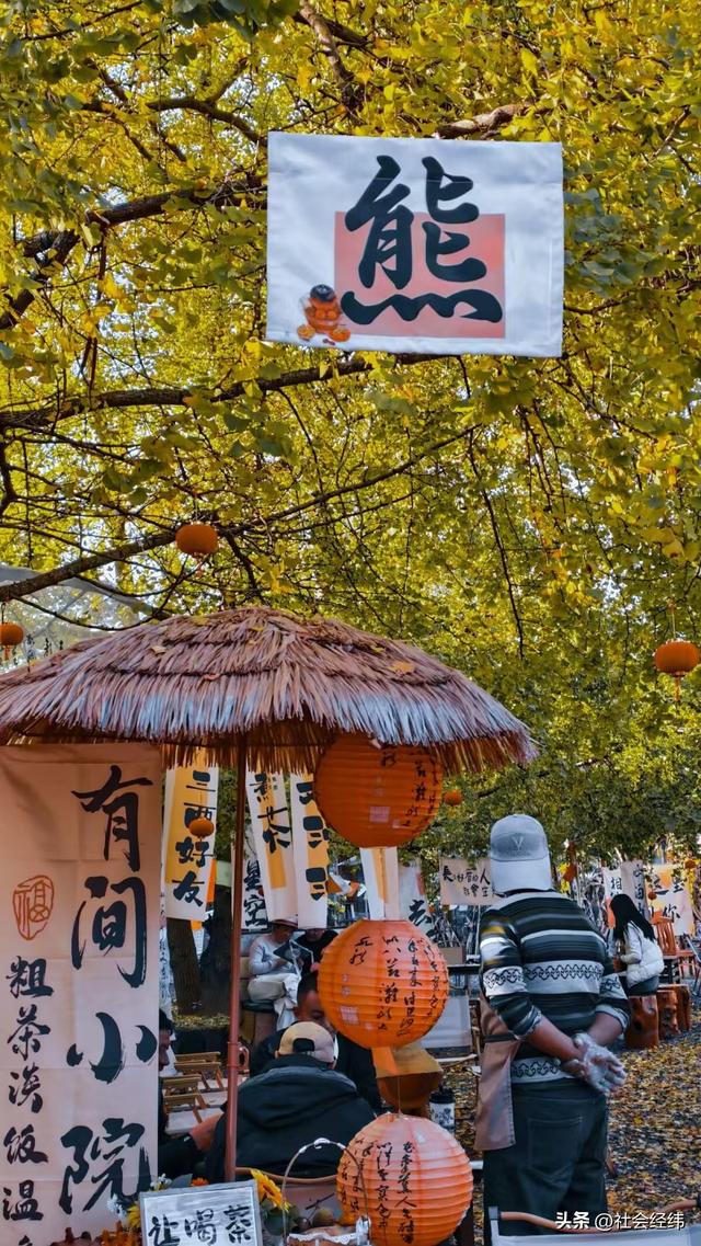 金色童话！腾冲千年银杏村，巷陌皆染秋光醉