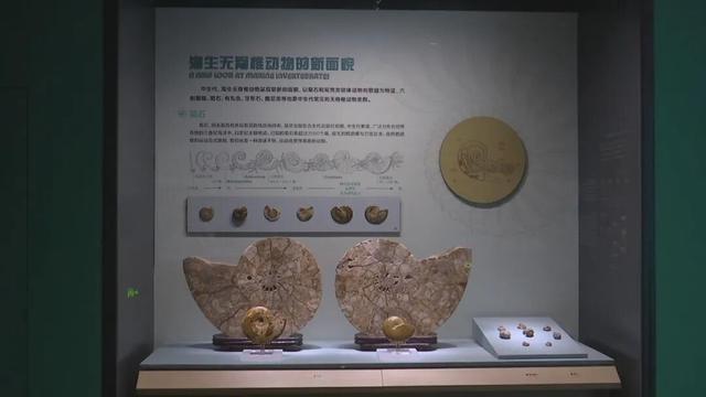 免费开放！石家庄这家博物馆新馆开始试运行