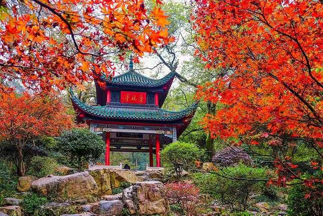 霜降已到全国红叶上线中！这四大“出片宝地”美到封神！