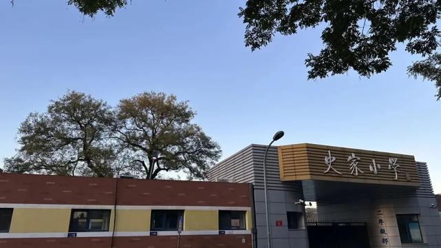 藏在胡同里的四合院博物馆,更年期小阿姨私藏推