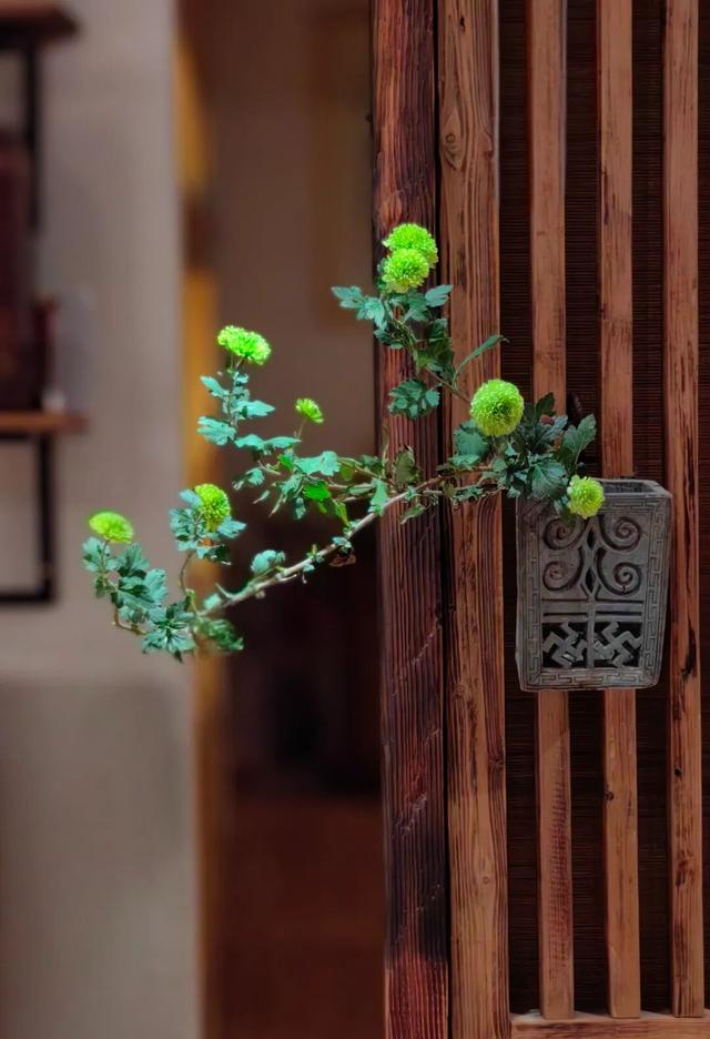 30个名师菊花插花作品，带你赏尽秋日好风景