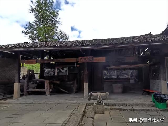 2025 凉雾之夏