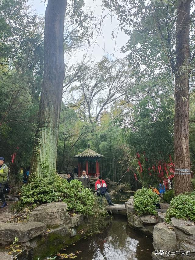 无为在歧路，济南红叶谷