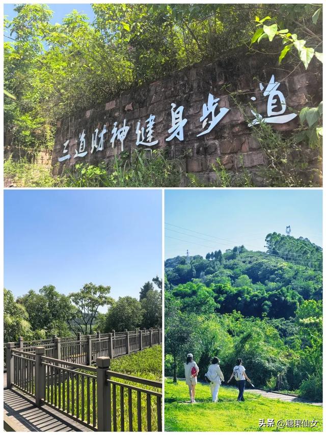 免费推荐！成都0.5h秋日免费打野攻略！摘柿子/板栗/八月瓜/野梨