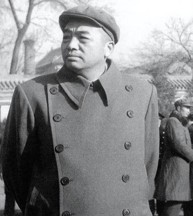彭德怀一生膝下无子，建国后跟卓琳商讨：不如把“毛毛”过继给我