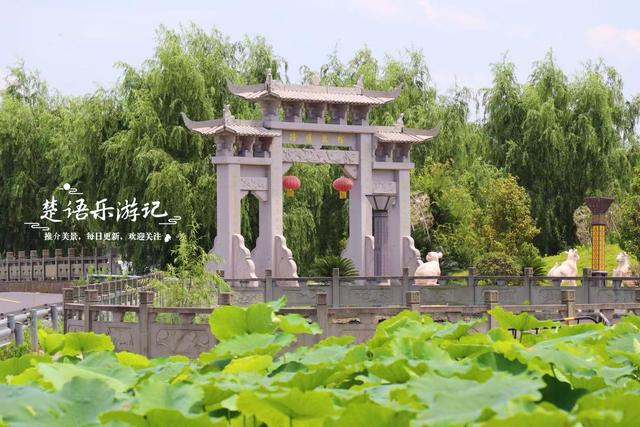 宁波因神话传说而建的寺院，荷塘成为热门打卡地，美人蕉花海更美