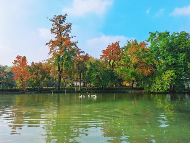 又见天平山：一叶知秋，一枫醉心