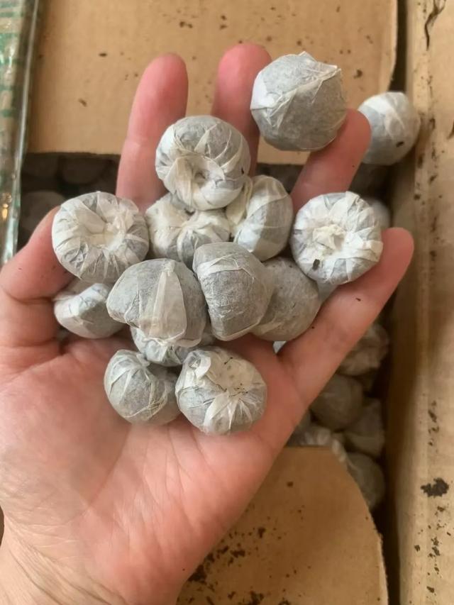 鏃╂湡鍑哄彛鐨勮糠浣犵敓娌憋紙瀛愬脊澶达級浠ュ竷鏈楀北缁嗚娊涓哄師鏂欙紝鏉剧儫棣欙紒锛侊紒