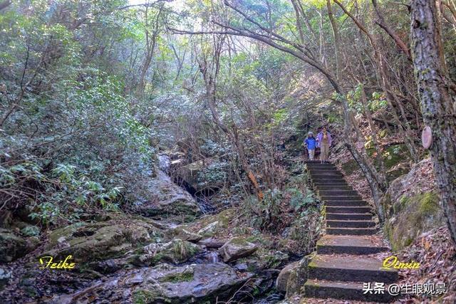 影记 | 衢州钱江源国家森林公园