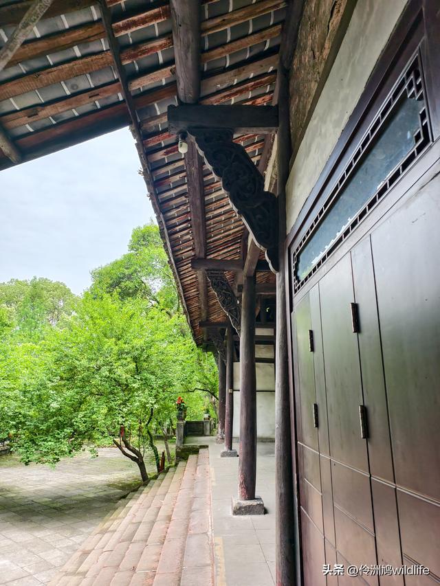 成都徒步（64）·新津篇③观音寺