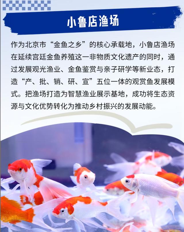 Country Walk朝阳篇：从生态绿洲到音乐渔乡，重新定义城市近郊游