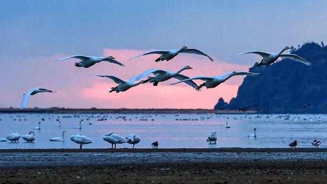 冬日畅游齐鲁，相约乐GO山东！