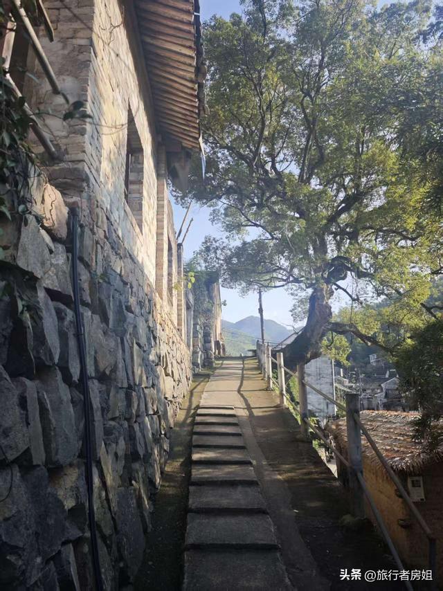 徒步奉化大雷山，古村、古道、梯田、秋景全部包揽