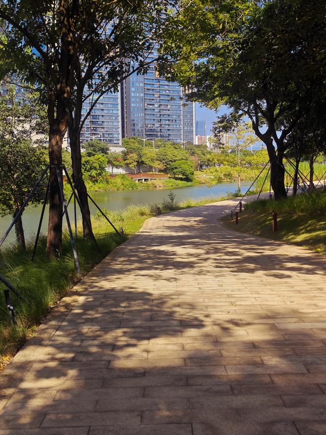 从学苑大道入大沙河绿过大学城后进深圳弯公园流花山景点【高清】