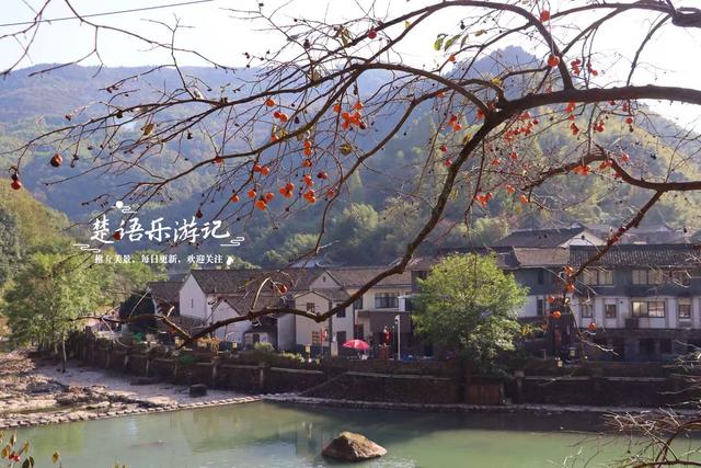 浙江宁波的又一个柿林山村，免费开放但是景色很美，游玩正当时