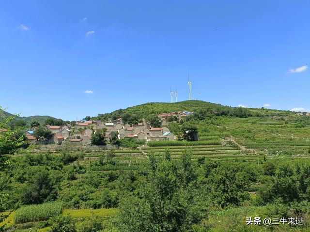 无为在歧路，章丘东南行