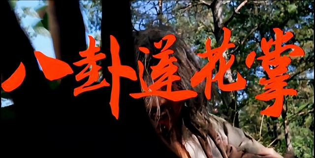 武术老电影《八卦莲花掌》，主演为何是张国立？其履历惊呆了网友