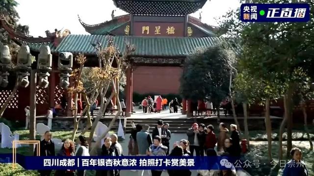 央视直播走进崇州 超20万人次观看！